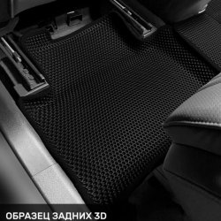 Левый пассажир