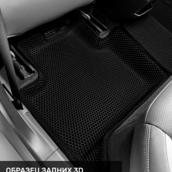 Левый пассажир