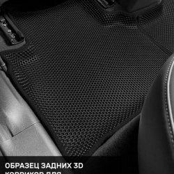 Левый пассажир